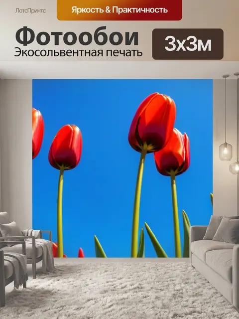 Фотообои красные тюльпаны на фоне синего неба