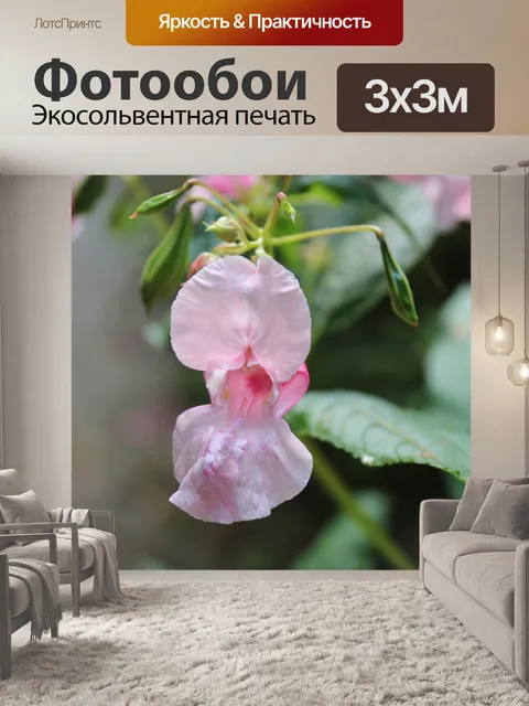 Фотообои Розовый цветок