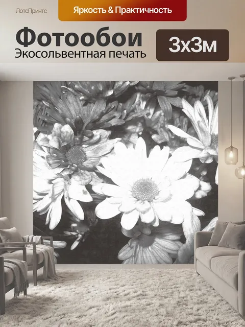Фотообои Цветы Черное & White Rose Daisy 2