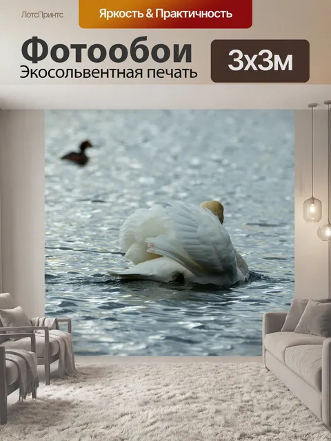 Фотообои Лебедь