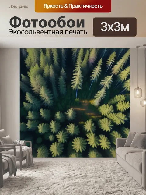 Фотообои птицы, летающие над кронами деревьев тайги