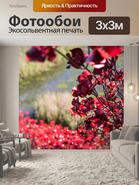 Фотообои Почтить память жертв, красные маки