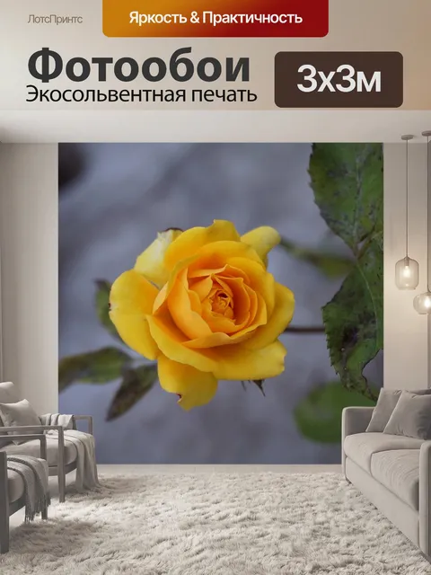 Фотообои Желтая роза