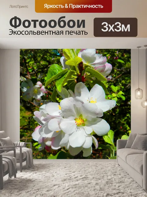 Фотообои Яблоневый цвет (2)