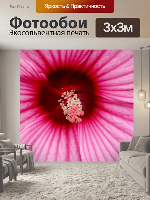 Фотообои Окрашенные розовый цветок тычинки