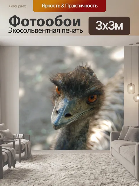 Фотообои Дикая природа