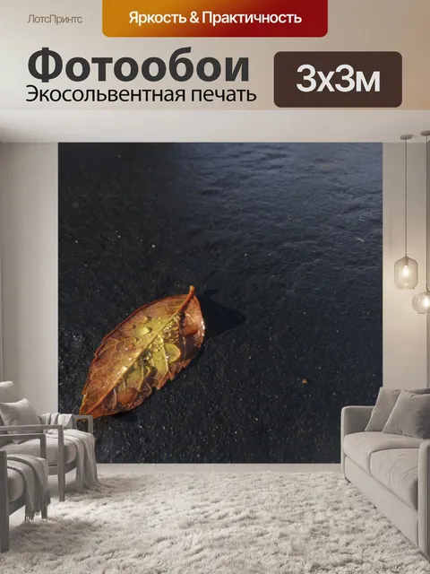 Фотообои Один мокрый лист в Orange