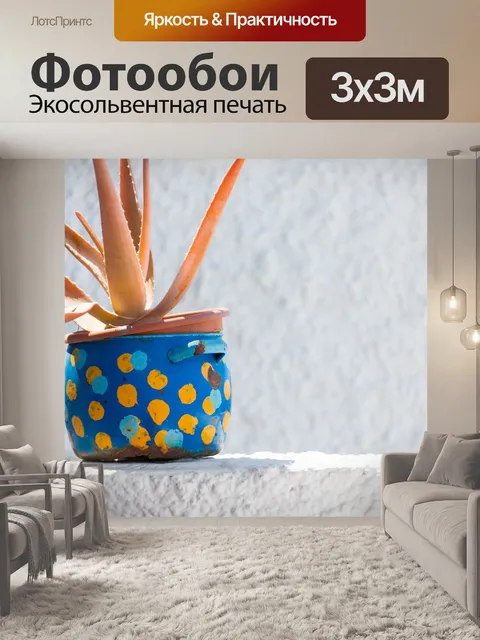 Фотообои Алоэ Вера в горшке