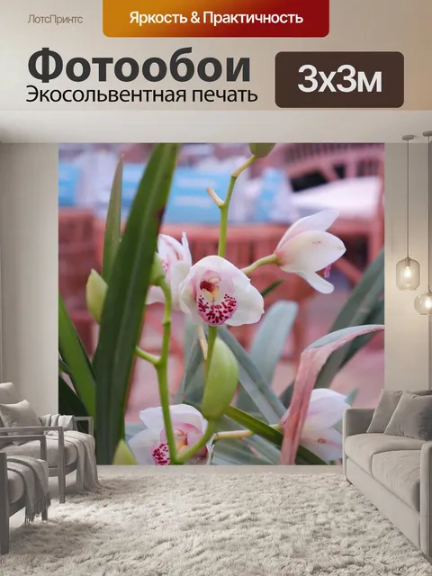 Фотообои орхидея