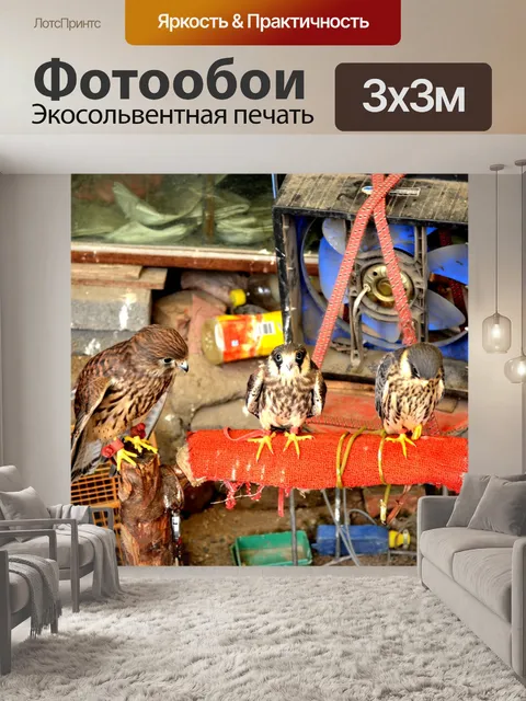 Фотообои Хищных птиц