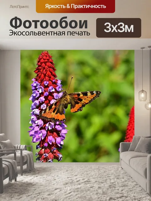 Фотообои Орхидеи примула