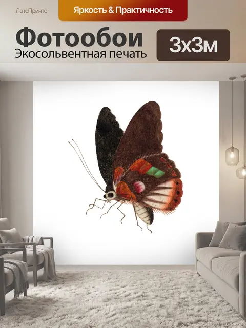 Фотообои Клипарт винтажная бабочка мотылек