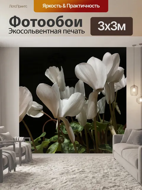 Фотообои Белые цветы