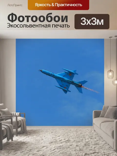 Фотообои Mig 21 lancer