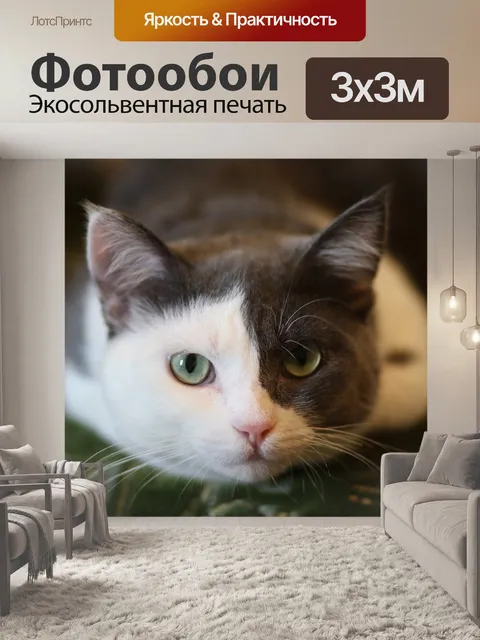 Фотообои Кошка
