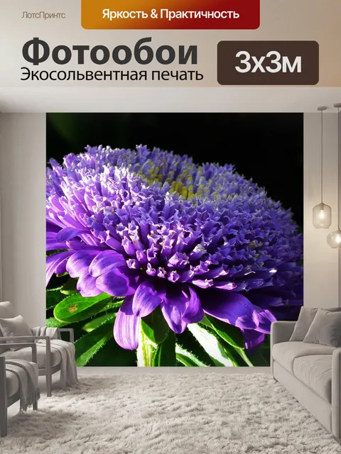 Фотообои Цветок