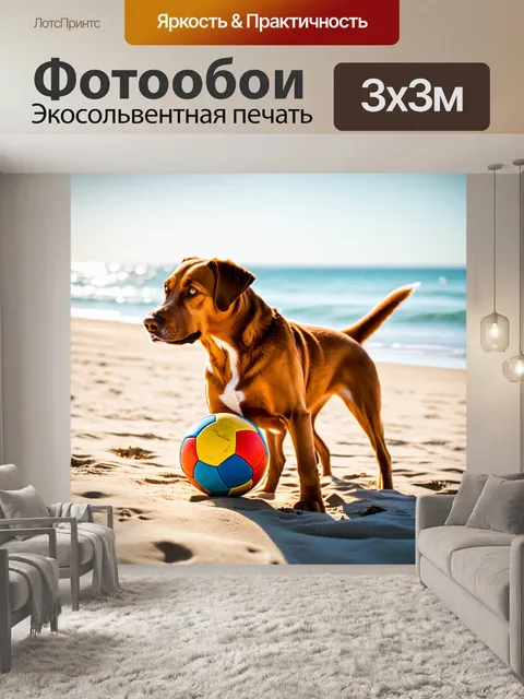 Фотообои коричневый пёс на пляже, играющий с мячом, солнце оказывает теплое свечение на его шерсть