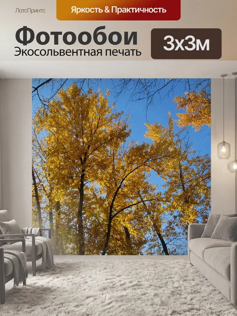 Фотообои Осень
