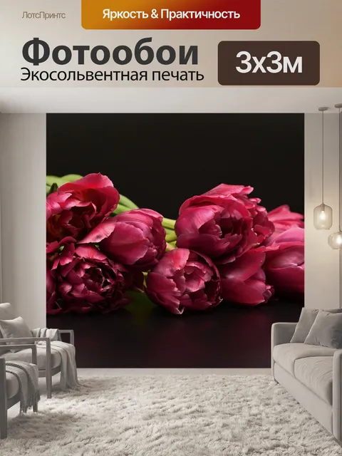 Фотообои Тюльпаны