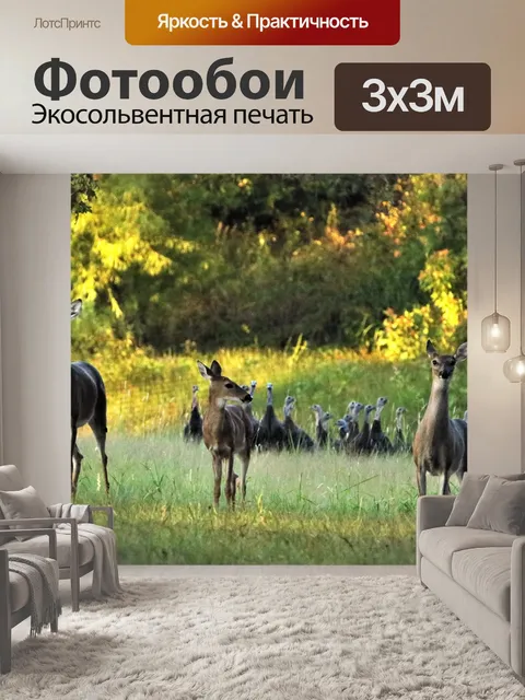 Фотообои Белокожий олень и дикая Турция