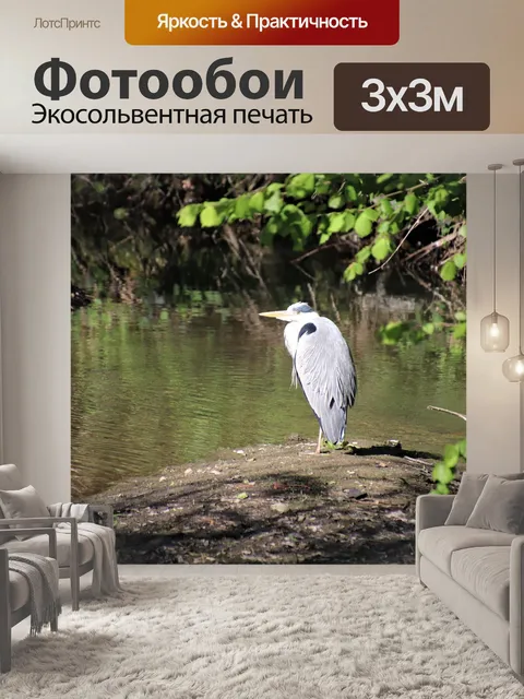 Фотообои Цапли