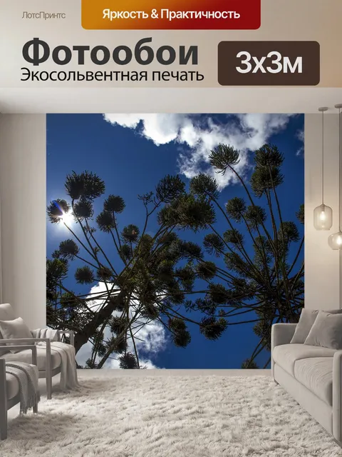 Фотообои Дерево