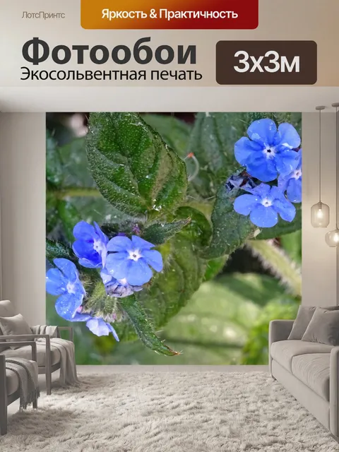 Фотообои Синие лепестки Цветы и флора