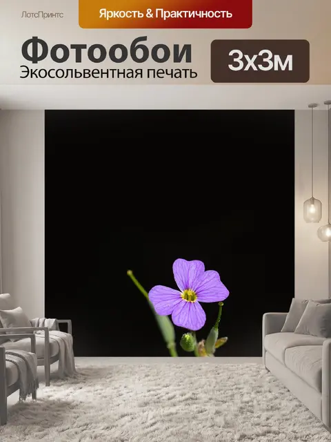 Фотообои Цветок