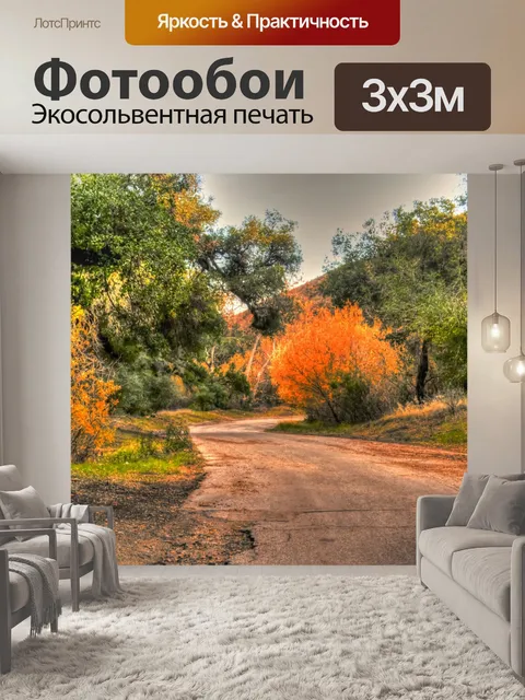 Фотообои Осенняя дорога