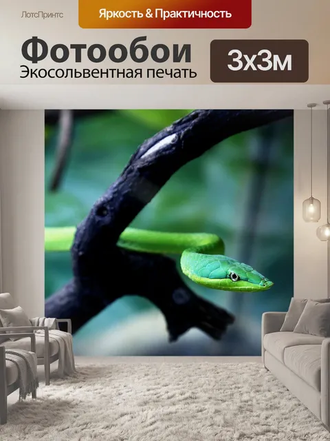 Фотообои Зеленая змея на ветке