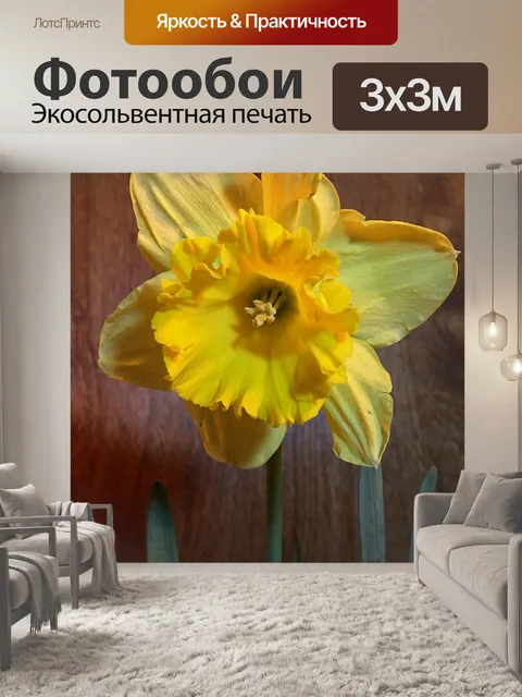 Фотообои Желтые цветы