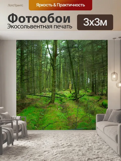 Фотообои лес