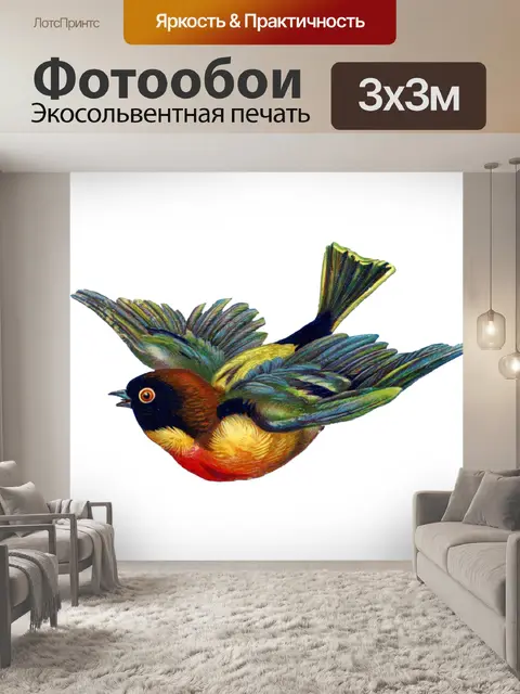Фотообои Иллюстрация винтажного искусства птиц