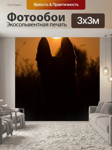 Фотообои Летом