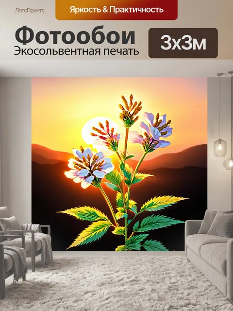 Фотообои изображение ликориса лучистого с яркими, насыщенными цветами на фоне вечернего заката