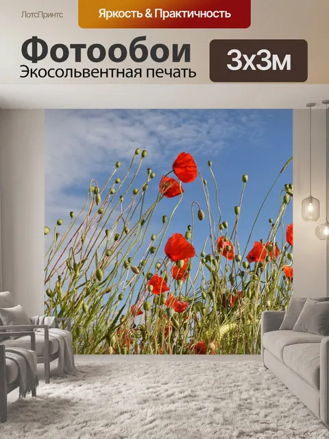 Фотообои Маковое поле