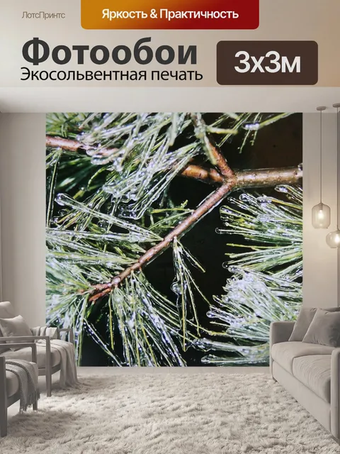Фотообои Сосновые иглы
