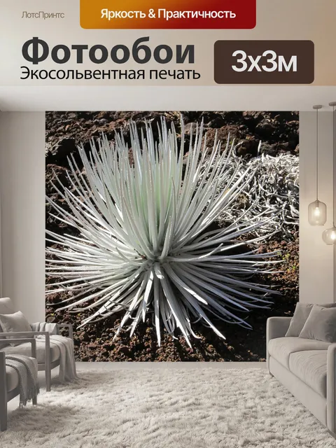 Фотообои Халеакала Серебряный Меч