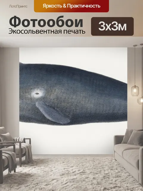 Фотообои Киты винтаж искусство старый