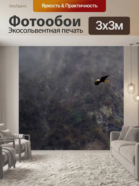 Фотообои Орел на аляске