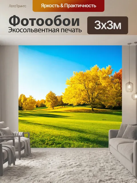 Фотообои пейзаж в стиле модерн, весеннее утро с яркими цветами и абстрактными тенями