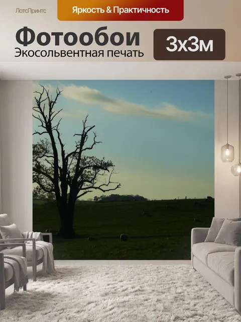 Фотообои пастбищ и овец