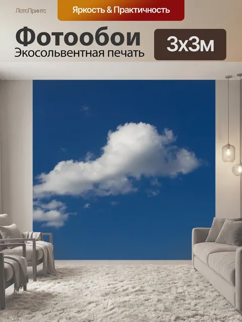 Фотообои Туча