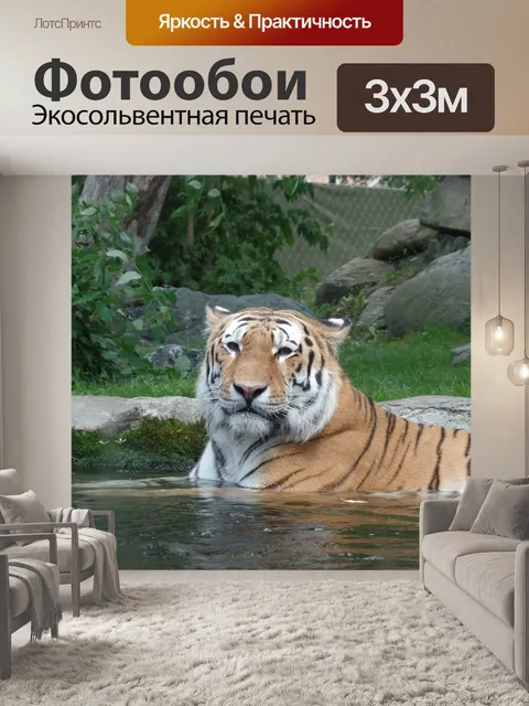 Фотообои Тигрица