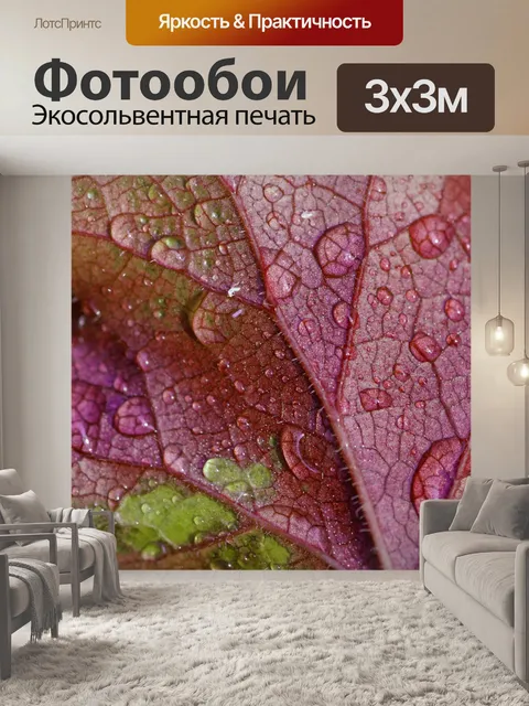 Фотообои Лист листва красная капля воды
