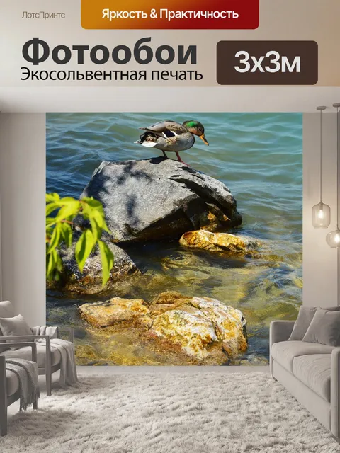 Фотообои Озеро балатон