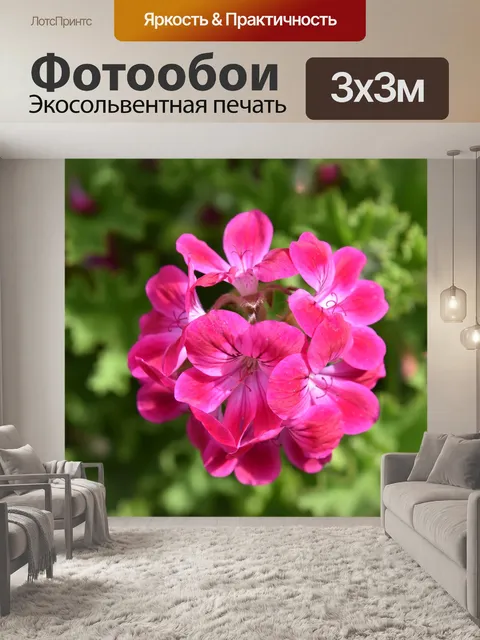 Фотообои Розовый цветок букет цветущий