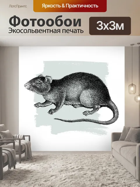 Фотообои крыса