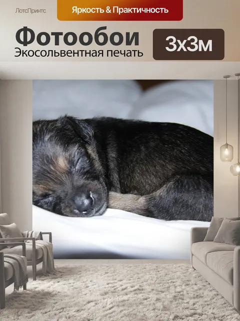Фотообои Щенок
