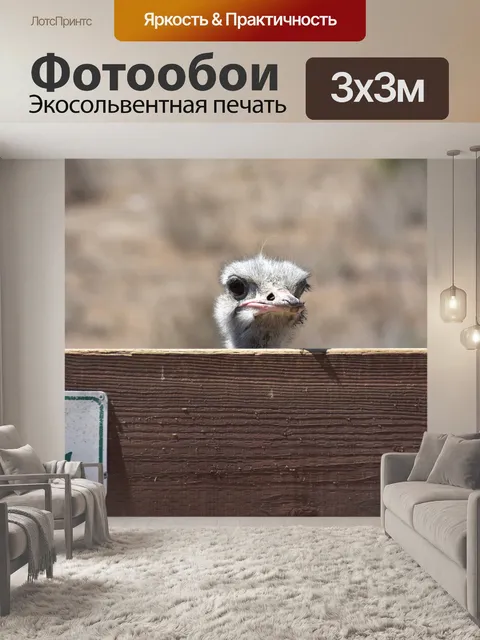 Фотообои страус